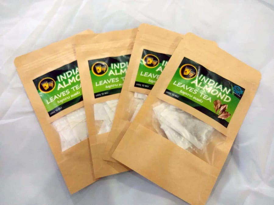 Buy Catappa leaves in Thailand