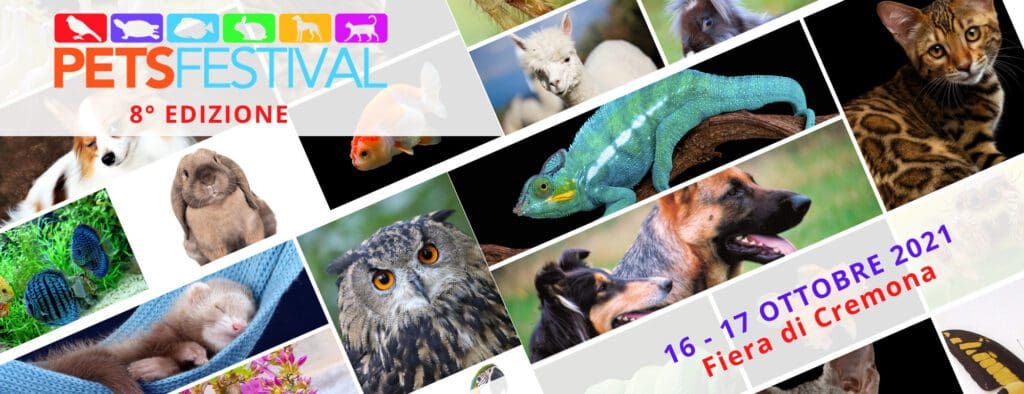 petsfestival