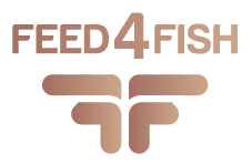 logo-feed4fish_bottom feed 4 fish