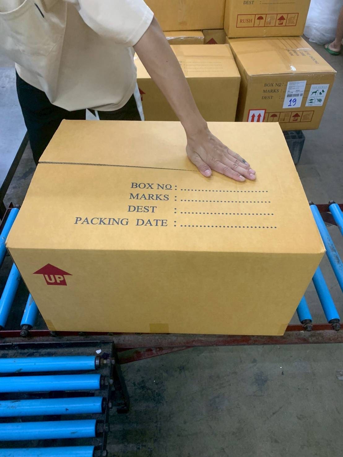 packingtropicalfishbox