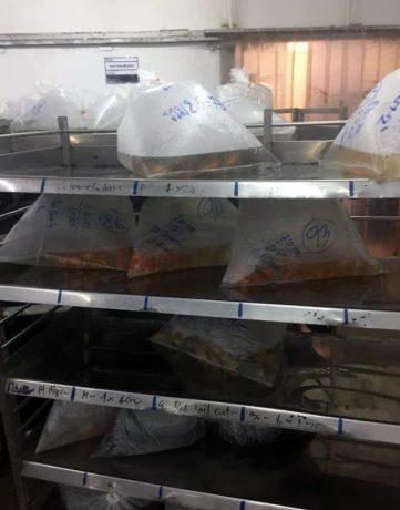 {{brizy_dc_image_alt imageSrc=