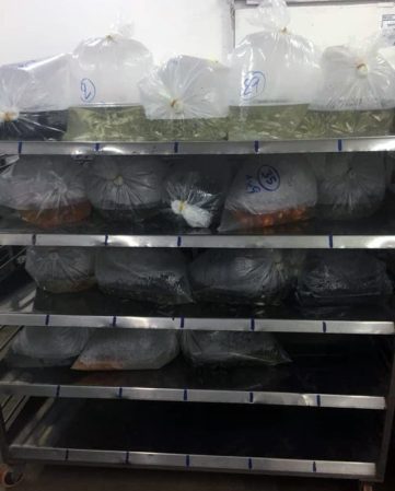 {{brizy_dc_image_alt imageSrc=