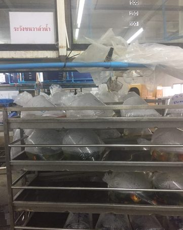 {{brizy_dc_image_alt imageSrc=