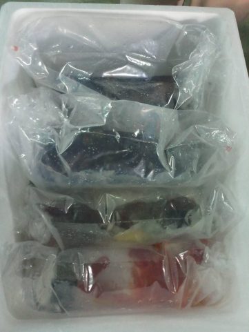 {{brizy_dc_image_alt imageSrc=