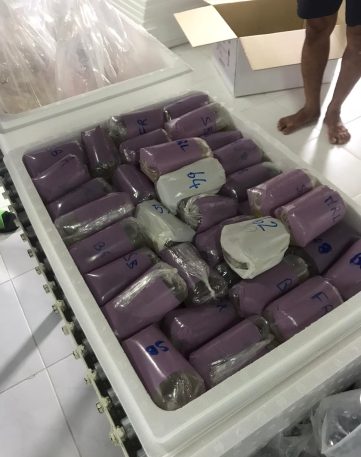 {{brizy_dc_image_alt imageSrc=