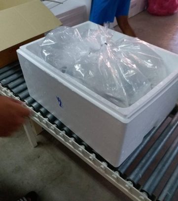 {{brizy_dc_image_alt imageSrc=