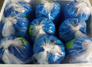 {{brizy_dc_image_alt imageSrc=