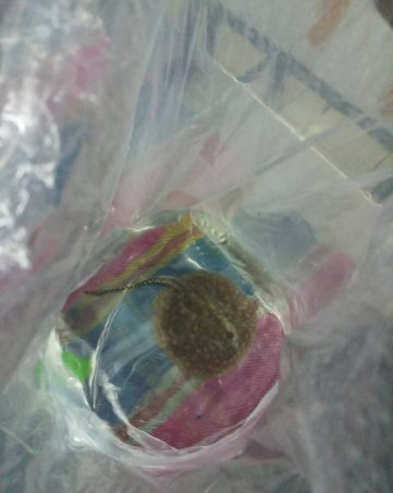 {{brizy_dc_image_alt imageSrc=